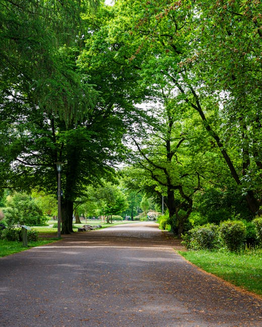 A paved pathway within Arnos Park lined with tall, leafy green trees on both sides, creating a canopy overhead. The path appears to be used for walking or cycling and is surrounded by well-maintained grass and shrubs. In the background, part of a residential area with houses and benches is visible. The scene is lit with natural daylight, and the overall environment suggests a peaceful outdoor setting suitable for leisurely activities. This setting aligns with the context of house removals and relocation services provided by Man with Van Arnos Grove, emphasizing the importance of careful planning and accessible routes during home moving logistics.