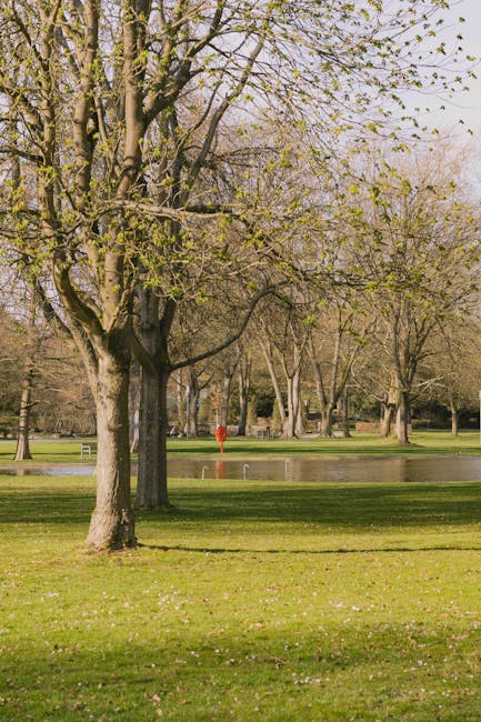 A shaded outdoor scene showing a narrow grassy pathway bordered by tall trees with dense foliage, creating a canopy overhead. The ground is covered with grass and a few fallen leaves, while the background features a park-like environment with more trees extending into the distance. The lighting appears natural but subdued, indicating an overcast day. This setting is occasionally utilized in house removals and relocation services to access properties through park or garden pathways, with [COMPANY_NAME] often coordinating the logistics of moving furniture and boxes through such environments to ensure a smooth home relocation process.
